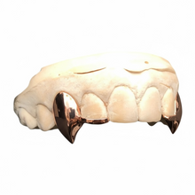 Load image into Gallery viewer, JORJA VAMP GRILLZ