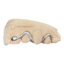 Load image into Gallery viewer, SNAKE GRILLZ